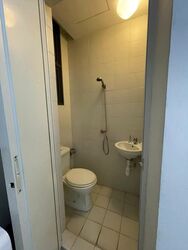 Rhapsody On Mount Elizabeth (D9), Apartment #495715571